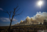 KEBAKARAN HUTAN DAN LAHAN DI KALSEL