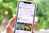 Digitalisasi pasar tradisional di berbagai daerah libatkan platform digital