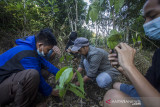 Ketua Pena Hijau Indonesia Denny (dua kanan) bersama pecinta alam melakukan penanaman pohon di kawasan wisata Pedalaman Pegunungan Meratus, Dusun Pantai Mangkiling, Kabupaten Hulu Sungai Tengah, Kalimantan Selatan, Selasa (10/8/2021). Sebagai bentuk dukungan dalam upaya merehabilitasi daerah aliran sungai (DAS) yang terdegradasi di wilayah tersebut Pena Hijau Indonesia bersama Posko Meratus, Dinas Kehutanan Porvinsi Kalsel, DLH Provinsi Kalsel, KPH Hulu Sungai, Biji Kopi, masyarakat adat dan Pecinta Alam melakukan penanaman 1.000 pohon beragam jenis. Foto Antaranews Kalsel/Bayu Pratama S.