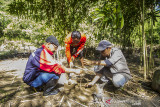 Ketua Pena Hijau Indonesia Denny (kanan) bersama pecinta alam dan masayarakat melakukan penanaman pohon di kawasan wisata Pedalaman Pegunungan Meratus, Dusun Pantai Mangkiling, Kabupaten Hulu Sungai Tengah, Kalimantan Selatan, Selasa (10/8/2021). Sebagai bentuk dukungan dalam upaya merehabilitasi daerah aliran sungai (DAS) yang terdegradasi di wilayah tersebut Pena Hijau Indonesia bersama Posko Meratus, Dinas Kehutanan Porvinsi Kalsel, DLH Provinsi Kalsel, KPH Hulu Sungai, Biji Kopi, masyarakat adat dan Pecinta Alam melakukan penanaman 1.000 pohon beragam jenis. Foto Antaranews Kalsel/Bayu Pratama S.