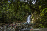 Sejumlah pengunjung bersantai di wisata pedalaman Pegunungan Meratus air terjun Tumaung di Dusun Pantai Mangkiling, Kabupaten Hulu Sungai Tengah, Kalimantan Selatan, Selasa (10/8/2021). Tempat wisata yang dikelola masyarakat setempat tersebut menawarkan keindahan pemandangan, dan nuansa pedalaman Pegunungan Meratus yang berpotensi dikembangkan menjadi objek wisata di Kalsel untuk mendatangkan wisatawan. Foto Antaranews Kalsel/Bayu Pratama S.