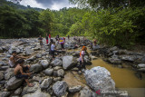 Masyarakat dayak Meratus mencari ikan saat tradisi Maliyu (menangkap ikan) di sungai Kapiyau, Dusun Pantai Mangkiling, Kabupaten Hulu Sungai Tengah, Kalimantan Selatan, Rabu (11/8/2021). Masyarakat dayak di pedalaman Pegunungan Meratus melakukan tradisi menangkap ikan secara tradisional yang dilaksanakan setiap musim kemarau. Foto Antaranews Kalsel/Bayu Pratama S.