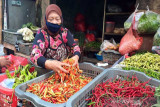 Stok melimpah, harga cabai di Solo turun