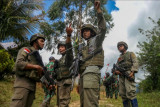 Sejumlah personel Polri dan TNI yang tergabung dalam Satgas Madago Raya berkoordinasi saat melakukan patroli di pergunungan Manggalapi, Sigi, Sulawesi Tengah, Senin (16/8/2021). Pasca ditembakmatinya tiga orang anggota DPO Teroris Poso pada Juli 2021 lalu, operasi keamanan bersandi Madago Raya yang kini memasuki tahap III itu terus memburu enam orang sisa DPO lainnya yang masih bersembunyi di pegunungan di tiga wilayah yakni Poso, Sigi, dan Parigi Moutong. ANTARA FOTO/Rangga Musabar/nym.