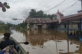 Kondisi banjir besar yang merendam pemukiman penduduk di wilayah Teluk Barak Kecamatan Putussibau Selatan dan sejumlah kecamatan lainnya di wilayah Kapuas Hulu Kalimantan Barat. Foto ANTARA/Teofilusianto Timotius