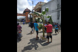 Sopir dum truk tanam pohon pisang di jalan BLK International Lotim