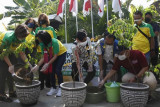 Kampung buah Karangasem