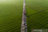 Foto udara suasana destinasi wisata Tegalan di Kampung Karang Tengah, Plawad, Karawang, Jawa Barat, Sabtu (28/8/2021). Destinasi wisata hasil swadaya masyarakat dan Karang Taruna tersebut menyajikan pemandangan lahan persawahan yang sekaligus menjadi tempat promosi dan dan penjualan produk UMKM sebagai upaya pengembangan desa wisata. ANTARA FOTO/M Ibnu Chazar/agr