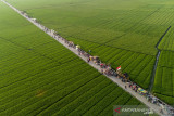 Foto udara suasana destinasi wisata Tegalan di Kampung Karang Tengah, Plawad, Karawang, Jawa Barat, Sabtu (28/8/2021). Destinasi wisata hasil swadaya masyarakat dan Karang Taruna tersebut menyajikan pemandangan lahan persawahan yang sekaligus menjadi tempat promosi dan dan penjualan produk UMKM sebagai upaya pengembangan desa wisata. ANTARA FOTO/M Ibnu Chazar/agr