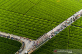 Foto udara suasana destinasi wisata Tegalan di Kampung Karang Tengah, Plawad, Karawang, Jawa Barat, Sabtu (28/8/2021). Destinasi wisata hasil swadaya masyarakat dan Karang Taruna tersebut menyajikan pemandangan lahan persawahan yang sekaligus menjadi tempat promosi dan dan penjualan produk UMKM sebagai upaya pengembangan desa wisata. ANTARA FOTO/M Ibnu Chazar/agr