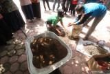 Petani melakukan praktik pembuatan media tanam saat mengikuti Sekolah Lapang budidaya cabai di Desa Jemekan, Kediri, Jawa Timur, Rabu (1/9/2021). Sekolah Lapang yang diselenggarakan Dinas Pertanian dan Perkebunan selama empat bulan tersebut bertujuan meningkatkan pengetahuan dan keterampilan petani memaksimalkan produktivitas cabai. Antara Jatim/Prasetia Fauzani/zk