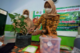 Guru mempraktikkan penggunaan pupuk organik yang dibuat dari limbah cangkang telur kepada tanaman cabai di SDI Tanjungsari Kota Blitar, Jawa Timur, Sabtu (4/9/2021). Pupuk organik hasil pemanfaatan limbah cangkang telur yang merupakan temuan guru SD dan masih terus dikembangkan tersebut mampu mempercepat proses pembuahan pada tanaman cabai dan tomat karena mengandung Kalsium Karbonat (CaCO3) yang tinggi, dan diharapkan nantinya mampu membantu petani dalam mempersingkat waktu panen. Antara Jatim/Irfan Anshori/zk