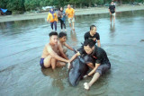 Tiga ikan lumba-lumba electra terdampar di Pantai Sidem Tulungagung