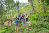 Pemdes gandeng Gapoktan kembangkan hutan Senggigi