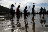 Tanam mangrove untuk cegah abrasi pantai