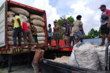 Biak kirim 15 ton jahe ke pasar Kota Jayapura