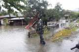 BPBD: Tiga sungai meluap sebabkan banjir di Kecamatan Pinolosian Tengah