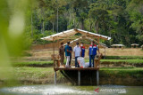 Pemprov Riau gencar promosikan Desa Wisata Kampung Kolam Ikan Patin Koto Masjid yang kian mempesona