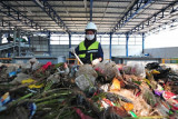 Pekerja memilah sampah di Tempat Pemrosesan Akhir (TPA) Talang Gulo, Jambi, Jumat (10/9/2021). Kementerian Pekerjaan Umum dan Perumahan Rakyat melalui kerja sama Indonesia-Jerman telah mengembangkan TPA Talang Gulo yang semula menggunakan sistem penimbunan sampah terbuka menjadi sistem 'sanitary landfill' yang ramah lingkungan dan minim pencemaran sejak Maret 2021. ANTARA FOTO/Wahdi Septiawan/wsj.