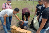 Polda Sumut ringkus sopir bawa 30 kilogram ganja