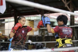 Latihan Atlet Muay Thai Gorontalo