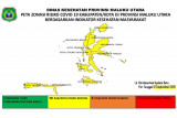 Dinkes Malut sebut seluruh kabupaten/kota masuk zona kuning COVID-19