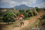 Peserta Manglayang Trail Running 2021 melewati perkebunan di Kaki Gunung Manglayang, Jatinangor, Kabupaten Sumedang, Jawa Barat, Minggu (19/9/2021). Manglayang Trail Running 2021 yang diadakan oleh IKA Unpad dan Palawa Indonesia tersebut diikuti oleh 150 orang peserta dari berbagai kota di Indonesia dengan dua kategori half marathon 21 kilometerdan full marathon 42 kilometer. ANTARA FOTO/Raisan Al Farisi/agr