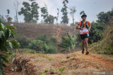 Peserta Manglayang Trail Running 2021 melewati perkebunan di Kaki Gunung Manglayang, Jatinangor, Kabupaten Sumedang, Jawa Barat, Minggu (19/9/2021). Manglayang Trail Running 2021 yang diadakan oleh IKA Unpad dan Palawa Indonesia tersebut diikuti oleh 150 orang peserta dari berbagai kota di Indonesia dengan dua kategori half marathon 21 kilometerdan full marathon 42 kilometer. ANTARA FOTO/Raisan Al Farisi/agr