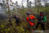 Petugas Badan Penanggulangan Bencana Daerah (BPBD) berupaya memadamkan kebakaran lahan di Kecamatan Liang Anggang, Banjarbaru, Kalimantan Selatan, Selasa (21/9/2021). Kencangnya angin di lokasi yang terbakar membuat api dengan cepat membakar lahan yang diperkirakan mencapai puluhan hektare hingga kini BPBD Kota Banjarbaru dibantu relawan pemadam kebakaran Kota Banjarmasin berupaya memadamkan api yang mendekati permukiman penduduk di daerah setempat. Foto Antaranews Kalsel/Bayu Pratama S.