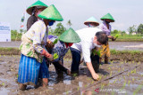 Menko Airlangga mendukung smart farming petani milenial
