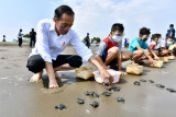 Presiden Joko Widodo melepas tukik di Pantai Kemiren, Desa Griya Tegalsari, Kelurahan Tegal Kamulyan, Cilacap Selatan, Cilacap, Jawa Tengah (23/9/2021). ANTARA FOTO/Setpres-Agus Suparto/foc.
