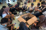 BNPB ajak warga Papua pakai masker guna mendukung kesukseskan PON XX