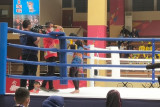 PON Papua : Atlet muaythai Sulsel tembus final
