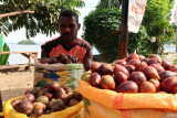 Pedagang matoa mengharapkan berkah jelang pembukaan PON Papua