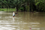 BANJIR TERJANG ACEH UTARA. Warga menggunakan perahu keluar dari kepungan banjir di Desa Hagu, Kecamatan Matang Kuli, Aceh Utara, Aceh, Jumat (1/10/2021). Banjir yang disebabkan tingginya intensitas hujan hingga sejumlah tanggul sungai jebol itu merendam tujuh kecamatan di Aceh Utara dan dua kecamatan Kota Lhokseumawe dengan ketinggian air 1-2,5 meter. ANTARA FOTO/Rahmad