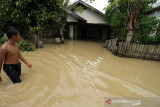 BANJIR TERJANG ACEH UTARA. Warga menggunakan perahu keluar dari kepungan banjir di Desa Hagu, Kecamatan Matang Kuli, Aceh Utara, Aceh, Jumat (1/10/2021). Banjir yang disebabkan tingginya intensitas hujan hingga sejumlah tanggul sungai jebol itu merendam tujuh kecamatan di Aceh Utara dan dua kecamatan Kota Lhokseumawe dengan ketinggian air 1-2,5 meter. ANTARA FOTO/Rahmad