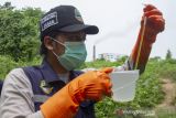 Petugas Labolatorium Lingkungan Hidup Jawa Barat mengambil sampel air di salah satu pabrik di Subang, Jawa Barat, Senin (4/10/2021). Kegiatan tersebut untuk melakukan uji labolatorium dan uji parameter lapangan guna mengetahui baku mutu air limbah pabrik yang diduga mencemari sungai. ANTARA FOTO/M Ibnu Chazar/agr