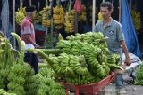 PEMASARAN BUAH PISANG HASIL PANEN MULAI MEMBAIK. Pedagang mengangkat komoditas buah pisang hasil panen di pasar Induk Lambaro, Kabupaten Aceh Besar, Aceh, Selasa (5/10/2021). Pedagang penampung menyatakan pemasaran buah pisang mulai membaik dan begitu juga permintaannya karena sejak beberapa pekan terakhir aktivitas pusat perbelanjaan kembali ramai pengunjung setelah daerah itu bebas dari zona merah kasus COVID-19. ANTARA FOTO/Ampelsa.