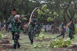 Sejumlah prajurit TNI Angkatan Laut membawa pohon Tabebuya untuk ditanam di lapangan Ambalat Koarmada II, Surabaya, Jawa Timur, Rabu (6/10/2021). Penanaman 200 pohon Tabebuya di kawasan tersebut merupakan rangkaian peringatan HUT ke-76 TNI. Antara Jatim/Didik Suhartono/zk.