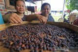 Warga dari KUB Bentangan Jaya menyelesaikan pembuatan kecap mangrove di desa Brondong, Indramayu, Jawa Barat, Rabu (6/10/2021). Kecap mangrove yang diolah dari biji mangrove jenis Kerandang (Canavalia virosa) tersebut dijual seharga Rp20 ribu per botol dan dipasarkan ke berbagai daerah melalui media daring. ANTARA FOTO/Dedhez Anggara/agr