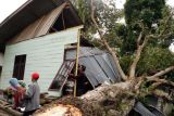 BMKG prakirakan angin kencang melanda sebagian wilayah Indonesia