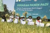 Bupati Mamuju dorong petani manfaatkan teknologi pertanian dengan pendampingan BPTP