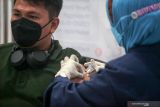 Petugas kesehatan menyuntikan vaksin COVID-19 jenis Pfizer kepada warga di gedung Hemodialisis Rumah Sakit Umum Daerah (RSUD) Sidoarjo, Jawa Timur, Kamis (7/10/2021). Sidoarjo menerima 117.000 dosis vaksin Pfizer untuk program vaksinasi massal dengan target sasarannya 12 tahun keatas termasuk ibu hamil dan orang dengan komorbit. Antara Jatim/Umarul Faruq/zk.