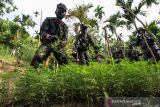 Penggerebekan Ladang Ganja BNN. Petugas Badan Narkotika Nasional RI dan petugas gabungan membakar batang pohon ganja siap panen saat penggerebekan ladang ganja di Dusun Cot Lawatu, Sawang, Kabupaten Aceh Utara, Aceh, Rabu (13/10/2021). Dalam penggerebekan yang dilakukan 103 personel BNN, TNI, Polisi itu ditemukan 5.000 lebih tanaman ganja atau setara 3 ton batang pohon ganja siap panen dan 20 ribu bibit siap tanam di tiga lokasi (3 hektare) yang kemudian dimusnahkan dengan cara dibakar di tempat. ANTARA FOTO/Rahmad