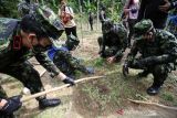 Penggerebekan Ladang Ganja BNN. Petugas Badan Narkotika Nasional RI dan petugas gabungan membakar batang pohon ganja siap panen saat penggerebekan ladang ganja di Dusun Cot Lawatu, Sawang, Kabupaten Aceh Utara, Aceh, Rabu (13/10/2021). Dalam penggerebekan yang dilakukan 103 personel BNN, TNI, Polisi itu ditemukan 5.000 lebih tanaman ganja atau setara 3 ton batang pohon ganja siap panen dan 20 ribu bibit siap tanam di tiga lokasi (3 hektare) yang kemudian dimusnahkan dengan cara dibakar di tempat. ANTARA FOTO/Rahmad