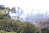 Hutan lindung seluas 19,5 ha di Aceh Tengah terbakar