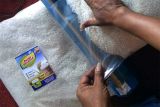 Susu dan vetsin bisa untuk kendalikan hama