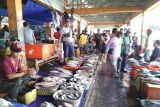 Kondisi cuaca pengaruhi harga ikan tangkap di TPI