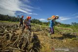 Sejumlah warga bergotong-royong membersihkan sungai Hantakan di Kecamatan Hantakan, Kabupaten Hulu Sungai Tengah, Kalimantan Selatan, Senin (18/10/2021). Wahana Lingkungan Hidup Indonesia (Walhi) Kalimantan Selatan bersama warga di empat desa melakukan aksi bersih-bersih sungai Hantakan pascabanjir bandang yang terjadi pada bulan Januari 2021 lalu serta memperingati hari bersih-bersih sedunia (World Cleanup Day). Foto Antaranews Kalsel/Bayu Pratama S.