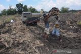 Memanfaatkan Tanah Proyek Tol Solo-Jogja